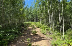 Lot 4 GRUNDY RD, WI 54487