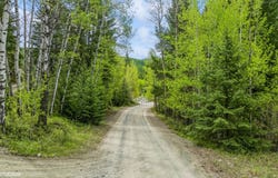 177 Tamarack Lane, Rexford, MT 59930