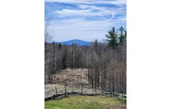 55 Uphill Road, Landgrove, VT 05148