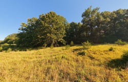 Foxden Drive Lot 4, Gainesville, MO 65655