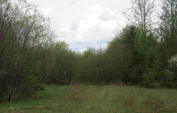 TBD Dunham Road, Marenisco, MI 49947
