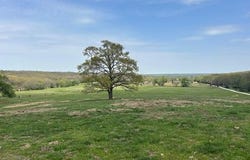 71 AC Ranchwood  RD, Prairie Grove, AR 72753