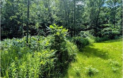 Xxx 3rd Avenue SW, Long Prairie, MN 56347