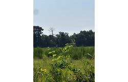 001 Fm-144, Daingerfield, TX 75638