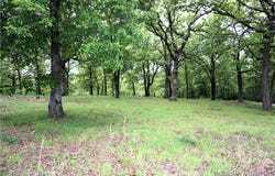 Forte, Edwards, MO 65326