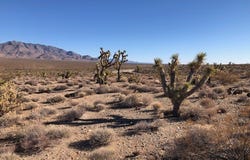 W Sarari Drive lot: 301, Meadview, AZ 86444