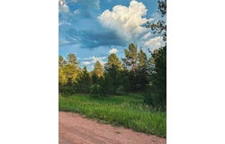 34 Quartz Circle, Florissant, CO 80816