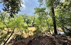 103 acres Westmont Street, Geneva, AL 36340
