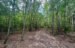 000 CO RD 54, PARCEL #3, Haleyville, AL 35565
