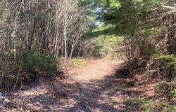 ON CTH F, Park Falls, WI 54552