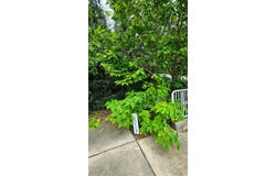 12267 N US HIGHWAY 301, OXFORD, FL 34484