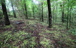 000 AVE 5 SW Street, Atkins, AR 72823