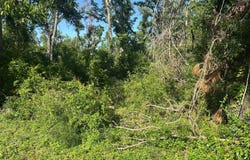 TBD RIVER ROAD, Live Oak, FL 32060