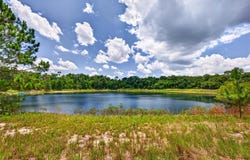 MALAUKA Loop, OCKLAWAHA, FL 32179