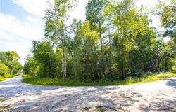 33464 Packingham Drive, Webster, FL 33597