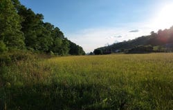 Tbd Main Street, Sneedville, TN 37869