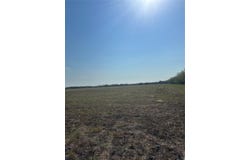 Quail Ln, Terrell, TX 75160