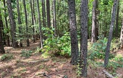 100 Shortoff Trail NW, Valdese, NC 28690