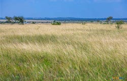 Tract 1 FM 243, Bertram, TX 78605