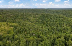 13 Lookout Point, Bruner, MO 65620
