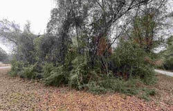3000 Block N Pine Barren Rd, Mcdavid, FL 32568