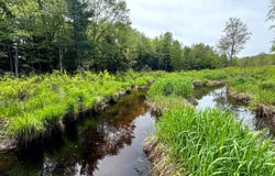 1.10 Marsh Rd., Vienna, NY 13042