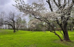 617 Alabama Street, Killen, AL 35645