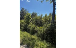 Duane Drive, Johnstown, NY 12095