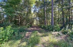 278 Huffman Road, Rose Hill, NC 28458