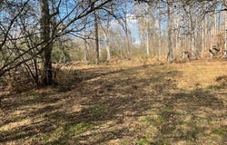 Mountain Creek Drive, Rome, GA 30161