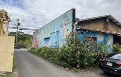 15-2931 PAHOA VILLAGE RD, Pahoa, HI 96778