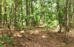 9999 County Road 2140, Quitman, TX 75783