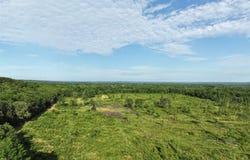000 Brannon Road, Greenbrier, AR 72058