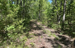 Humansville, MO 65674