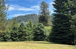 62 Newell Drive, Cascade, ID 83611
