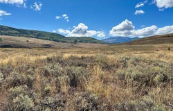 TBD CR 129, Clark, CO 80428