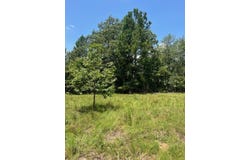 0 Gough Road, Louisville, GA 30434
