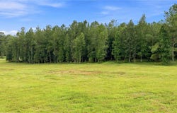 18601 NW 160TH Avenue, WILLISTON, FL 32696