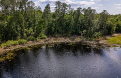 100 FOREST HILLS Road, Melrose, FL 32666