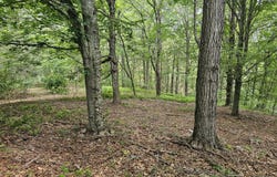 1121 Little Egypt Road, Monterey, VA 24465
