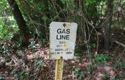 000 WILLARD TAYLOR RD, Dodson, LA 71422