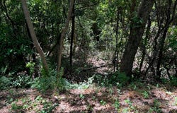 3065 Peach Orchard Road, Sumter, SC 29404