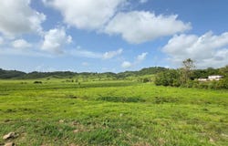 CARR 31 INT 950 KMHM 97, Naguabo, 00718