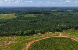 0 Sexton Bridge Road, Luverne, AL 36049