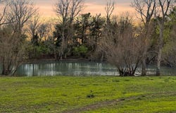 12488 Eastline Road, Trenton, TX 75490