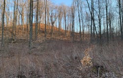 Chief ''O'' Road, Bear Lake, MI 49614