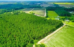 4060 County Farm Road Road, Blackshear, GA 31516