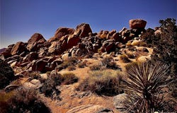 6220 Mirlo Ct, Yucca Valley, CA 92284