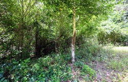 25270 B Drive S, Albion, MI 49224
