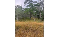 107 Hauula CT, Bastrop, TX 78602